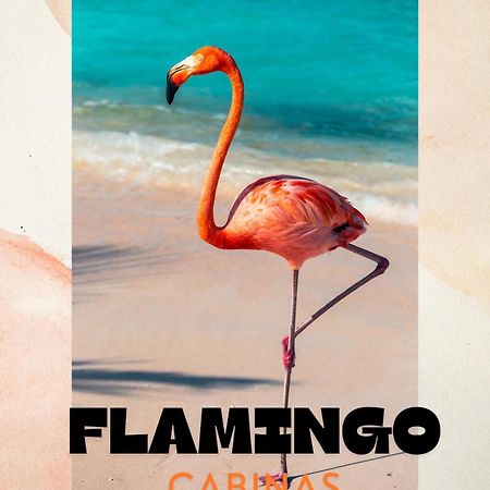 Cabinas Flamingo Playa Flamingo Exteriör bild