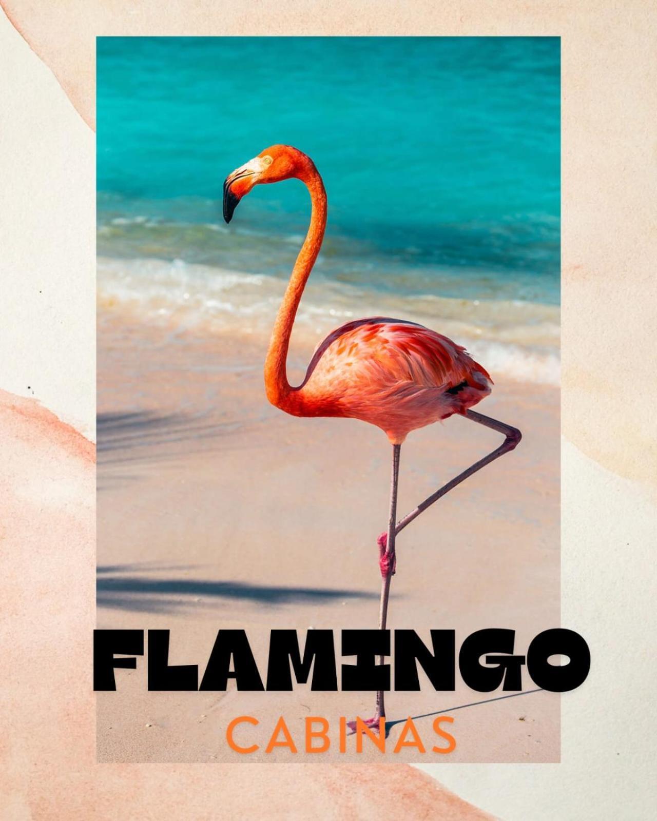 Cabinas Flamingo Playa Flamingo Exteriör bild